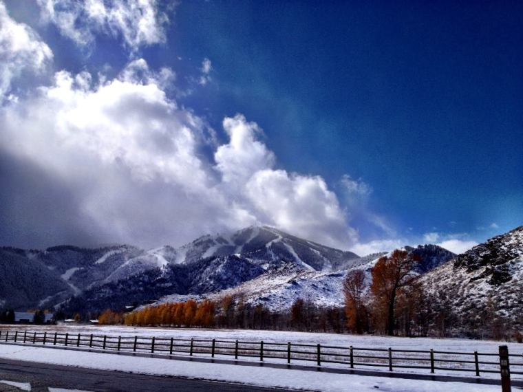 374053_10151120983397794_921492734_n